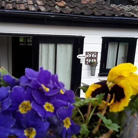 Rose Farm Bed and Breakfast Honiton Exteriör bild