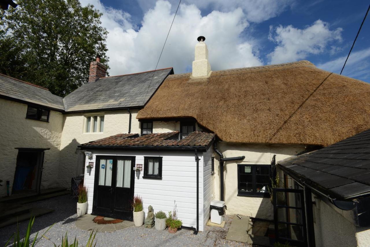 Rose Farm Bed and Breakfast Honiton Exteriör bild