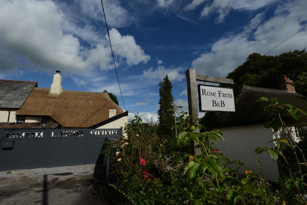 Rose Farm Bed and Breakfast Honiton Exteriör bild