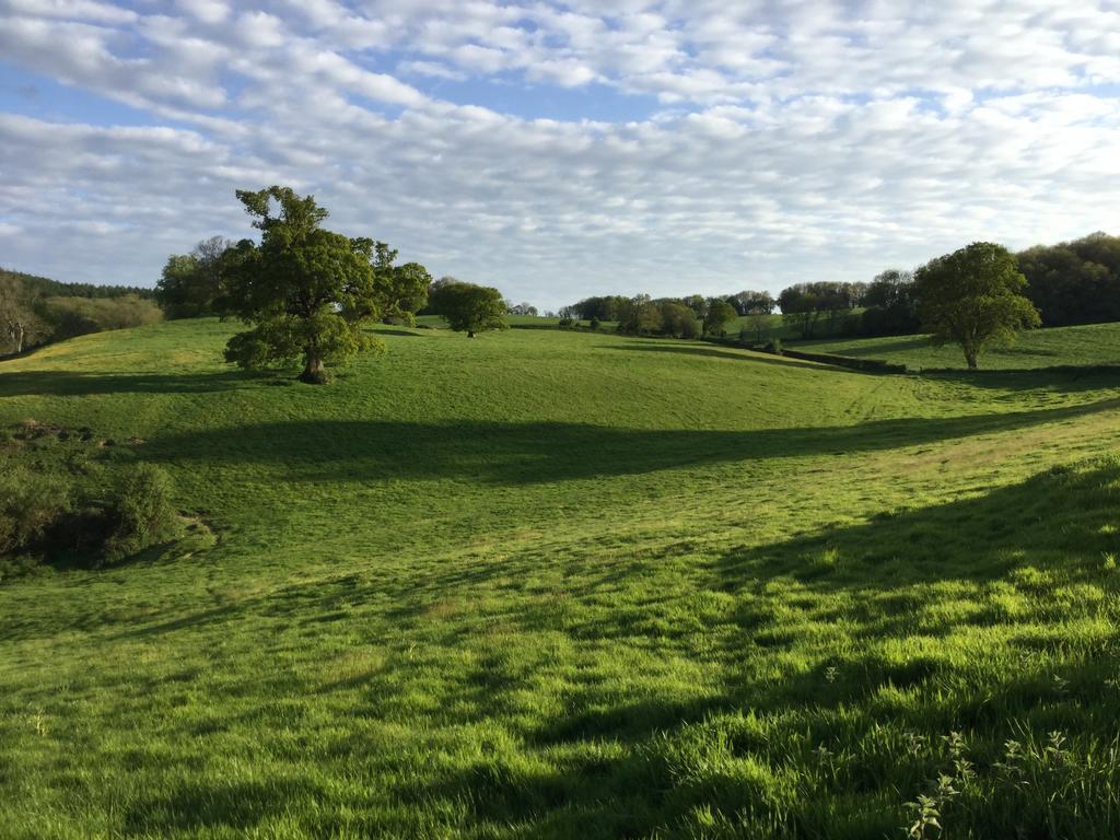 Rose Farm Bed and Breakfast Honiton Exteriör bild