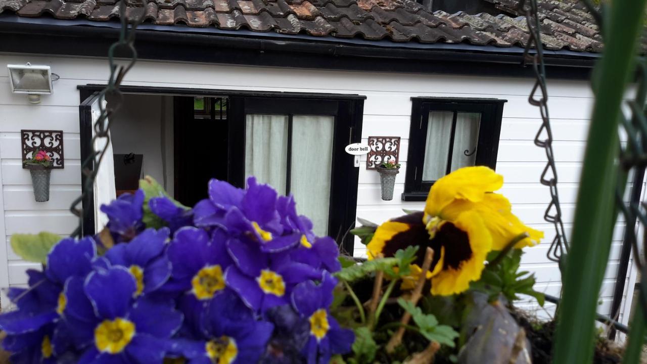 Rose Farm Bed and Breakfast Honiton Exteriör bild