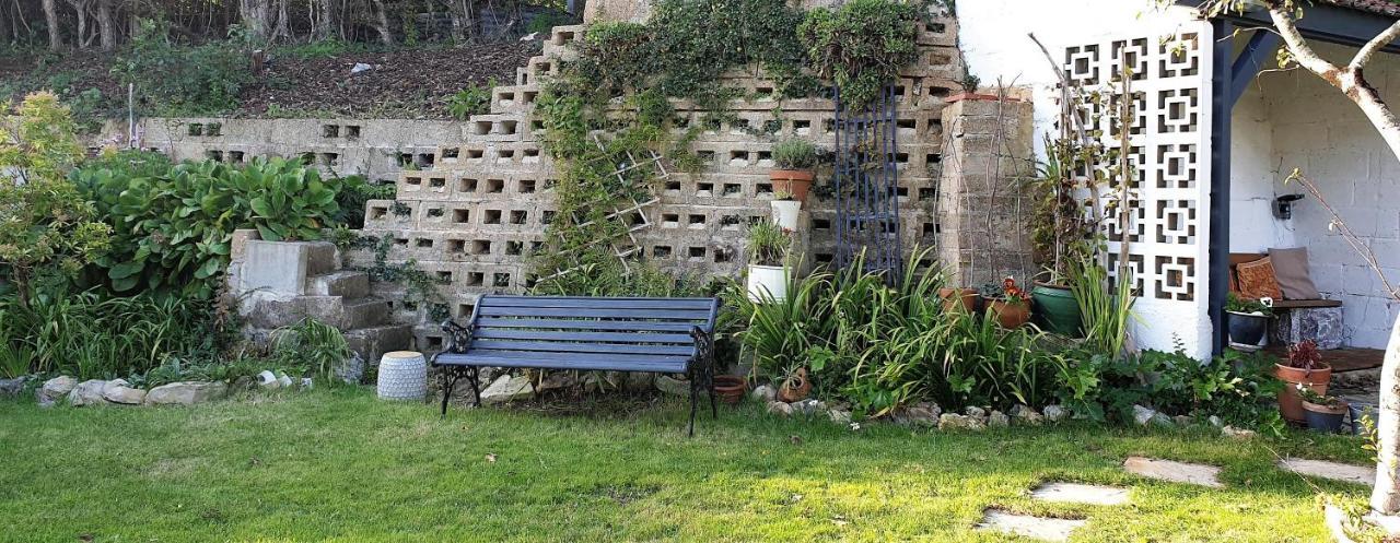 Rose Farm Bed and Breakfast Honiton Exteriör bild