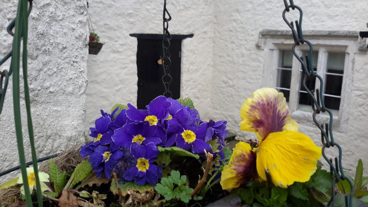 Rose Farm Bed and Breakfast Honiton Exteriör bild