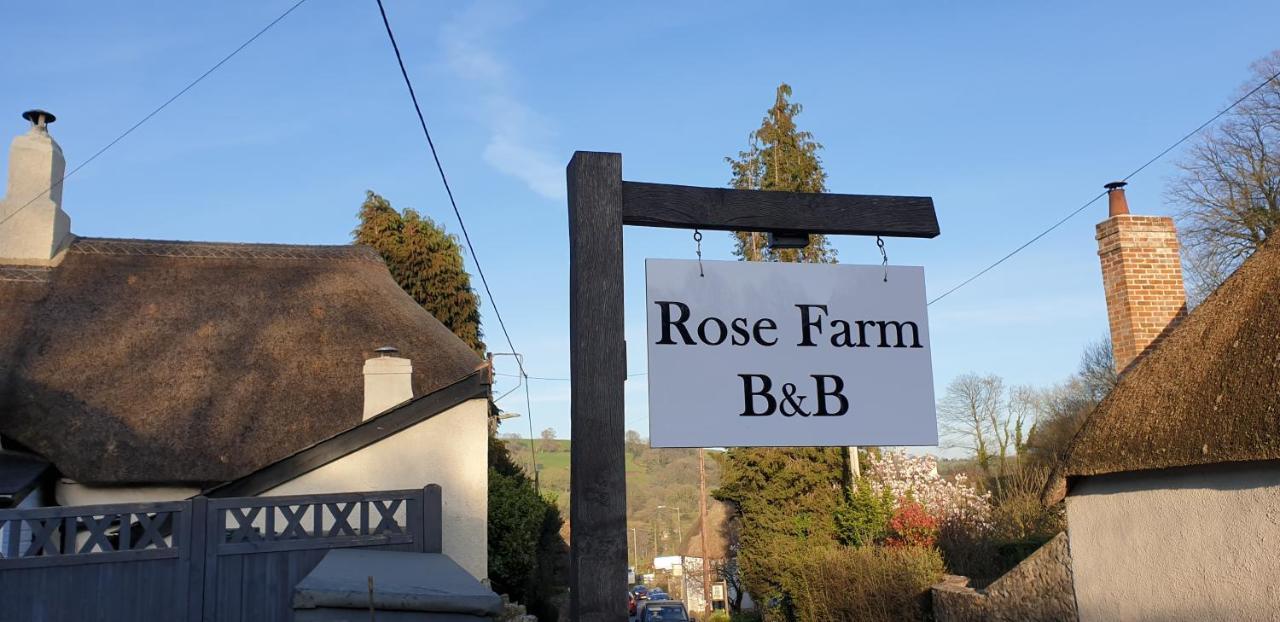 Rose Farm Bed and Breakfast Honiton Exteriör bild