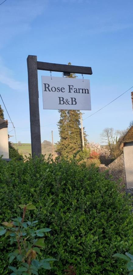 Rose Farm Bed and Breakfast Honiton Exteriör bild