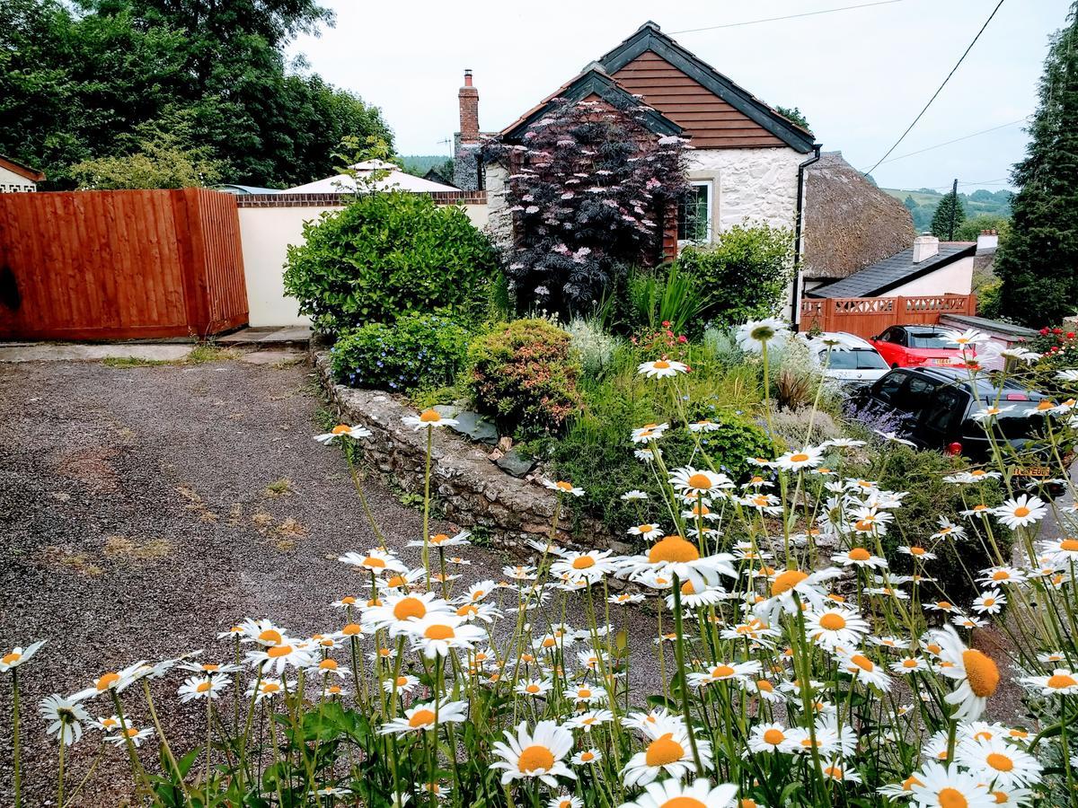 Rose Farm Bed and Breakfast Honiton Exteriör bild