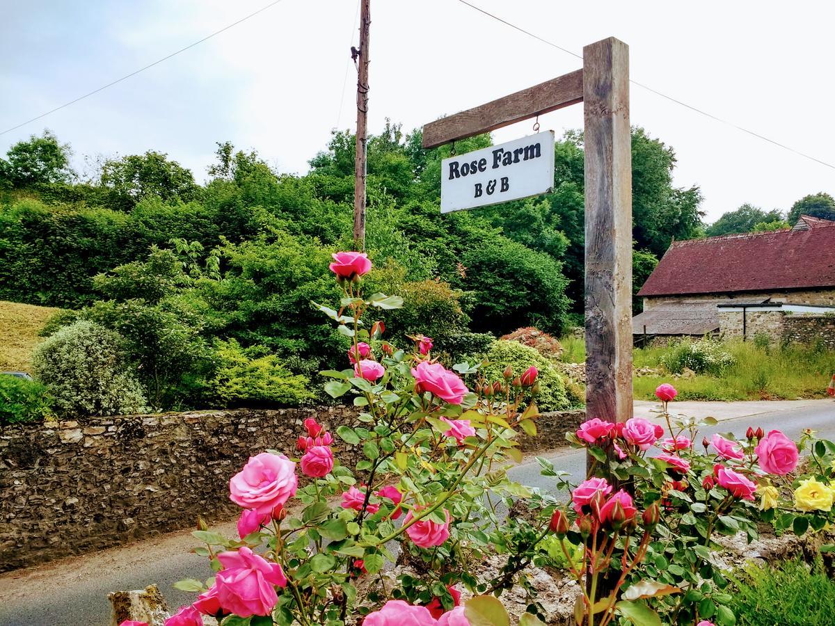 Rose Farm Bed and Breakfast Honiton Exteriör bild